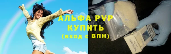 spice Бежецк