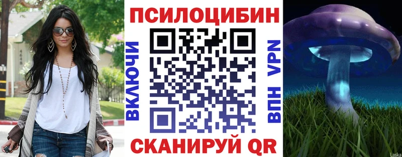 МЕГА как зайти  Тавда  площадка официальный сайт  Псилоцибиновые грибы Psilocybine cubensis 