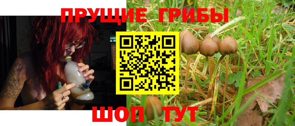 Галлюциногенные грибы ЛСД Тавда