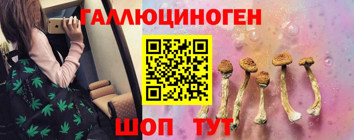 Псилоцибиновые грибы Cubensis  Галлюциногенные грибы Psilocybine cubensis  Вход с VPN  Тавда 