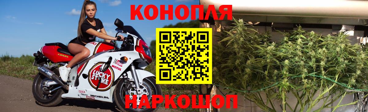 Бошки Шишки THC 21%  Марихуана сатива  Каннабис White Widow  Марихуана план  Тавда 